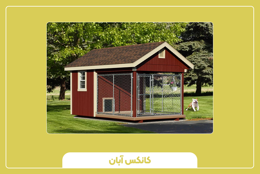 ویژگیهای مهم کانکس حیوانی