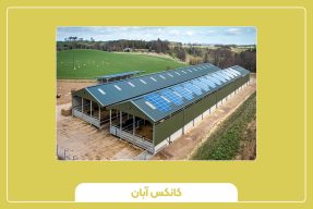 راهنمای جامع انتخاب و خرید کانکس دامداری