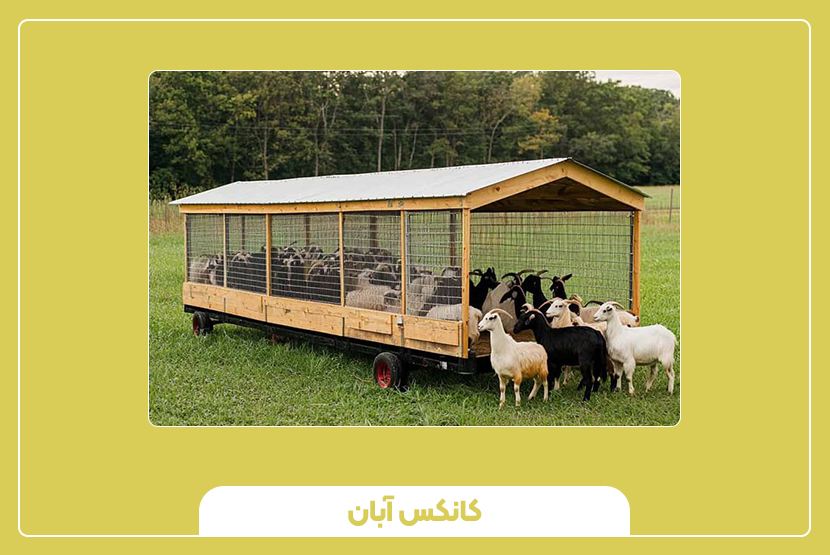 نحوه نگهداری از کانکس دامداری برای افزایش عمر و بهرهوری