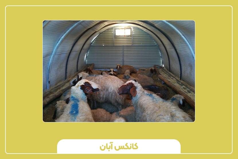 نکات مهم در طراحی و انتخاب کانکس دامداری استاندارد