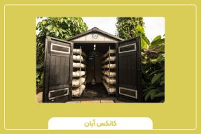 کانکس پرورش قارچ